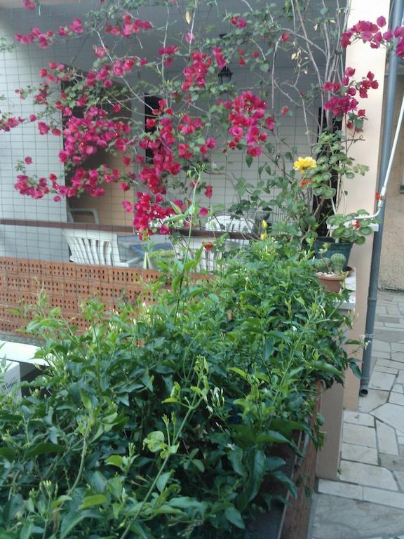 Apartments Anica Sobra Dış mekan fotoğraf